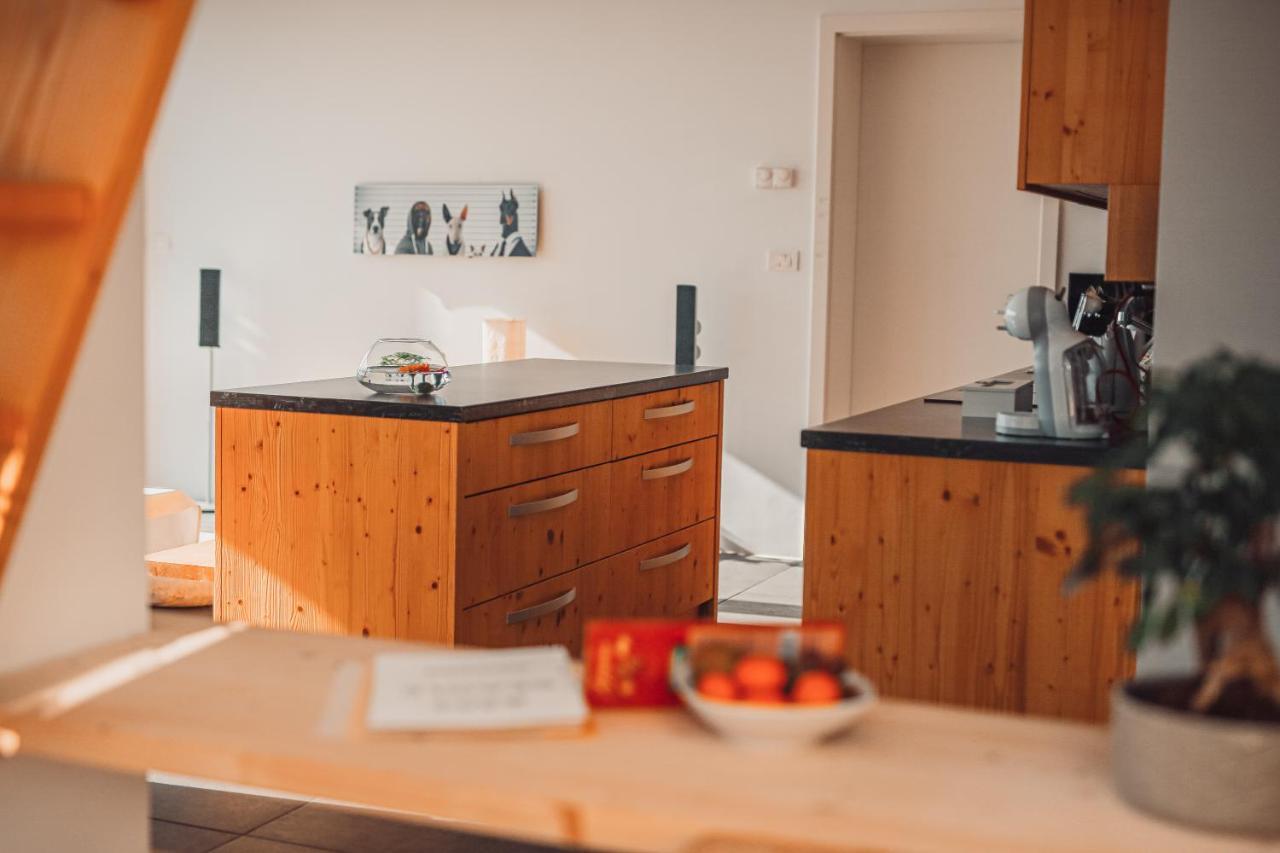 Eco Boutique Hotel Ams Beagle Блед Екстериор снимка