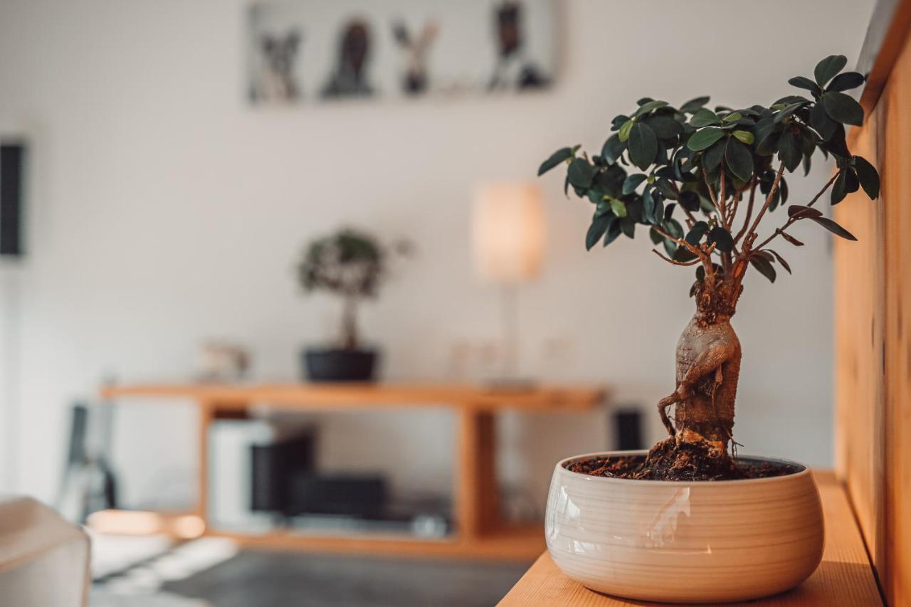 Eco Boutique Hotel Ams Beagle Блед Екстериор снимка